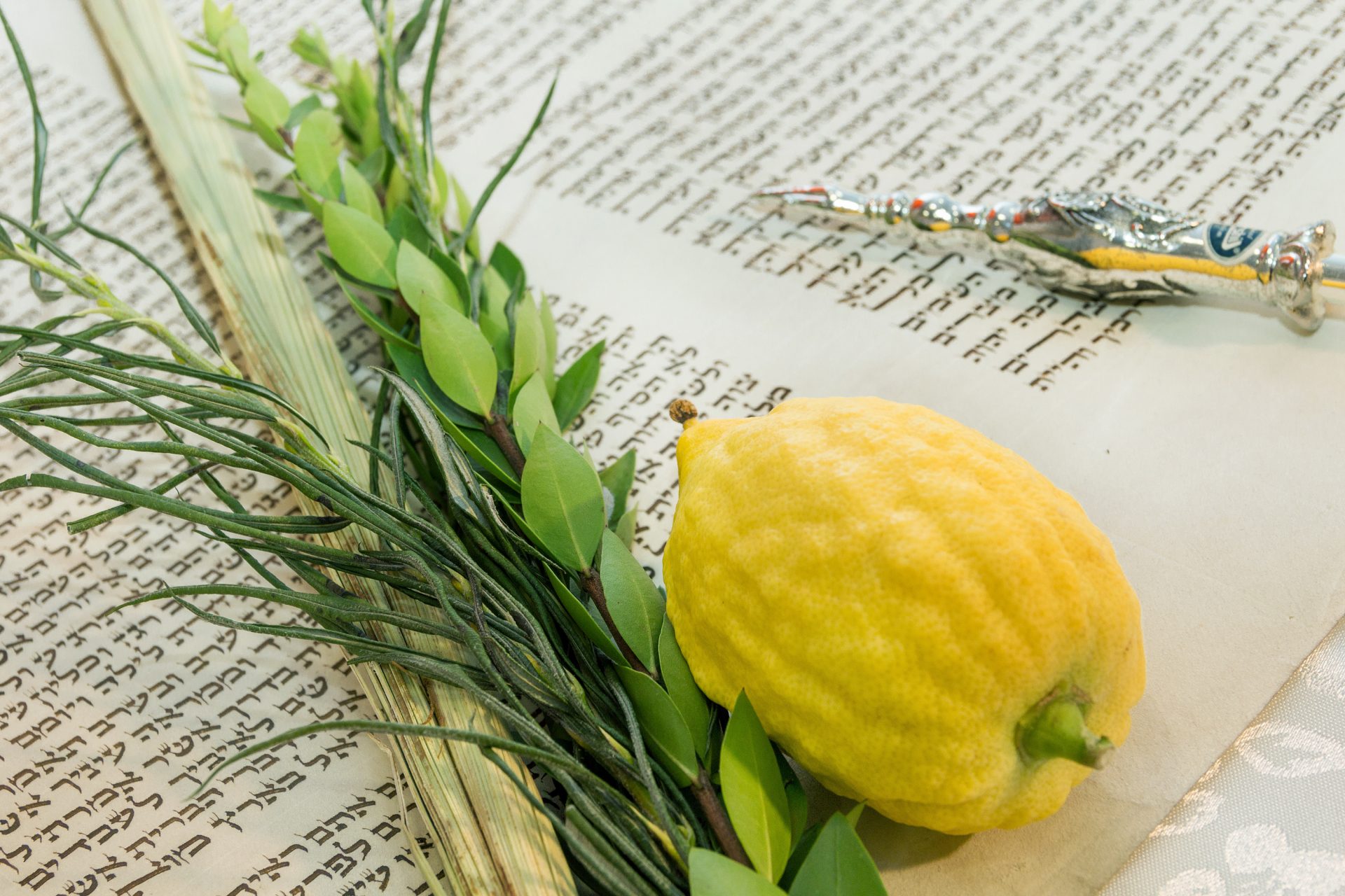 From festivals to feasts four of the top Sukkot events in Israel