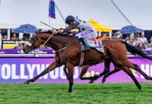 Durban July triumph for Cape Town owner with historic 1st–2nd finish