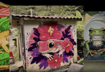 Ann Nurock on creativity, AI and advertising that makes an impact
