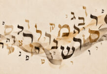 The fate of Jewish languages today